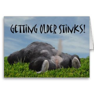 Funny Humorous Getting Older Monkey Happy Birthday Cards