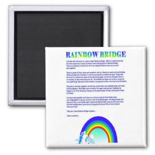 Rainbow Bridge Pet Memorial Poem Magnet