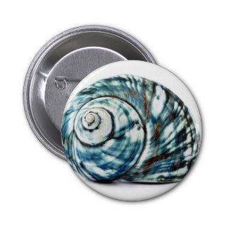 Blue Sea Shell On White Background Buttons