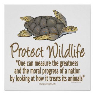 Protect Sea Turtles Posters