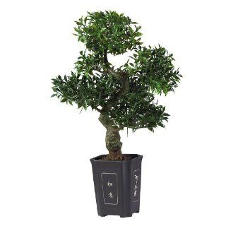 Nearly Natural 4102 Japanese Ficus Bonsai 36 in   Artificial Mixed Flower Arrangements