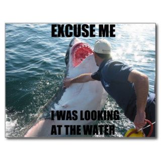 Excuse Me Shark Postcard
