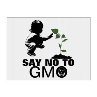Say No to GMO Yard Sign