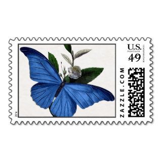 Blue Butterfly Stamps