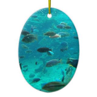 Blue pool of cichlids swimming around design christmas ornaments