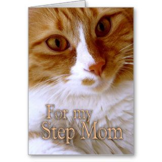 Happy Mother's Day   Step Mom Sweet Cat Greeting Card
