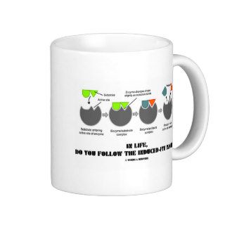 In Life, Do You Follow The Induced Fit Model? Mug