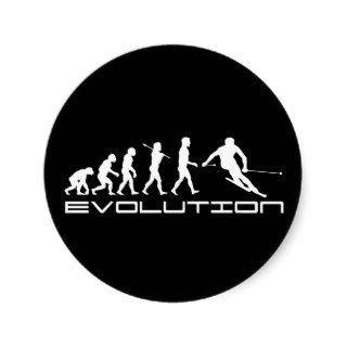 Snow Ski Skier Skiing Evolution Sticker