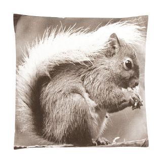 Parlane Grey canvas squirrel cushion