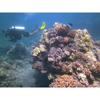 SeaLife DC1400 14MP HD Underwater Digital Camera Waterproof up to 200 ft. (60m)  Underwater Digital Cameras  Camera & Photo