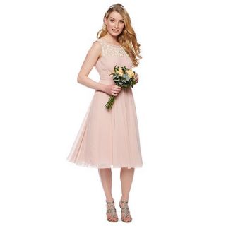 No. 1 Jenny Packham Designer rose pink floral embellished midi dress