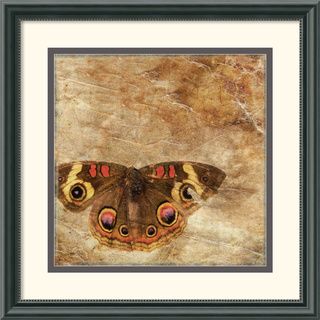 Susan Friedman 'Moth' Framed Art Print Prints