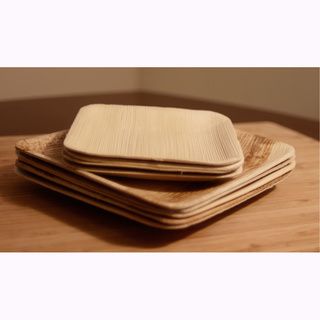 Compostable Palm Leaf Plates   Square (Pack of 100) Plates
