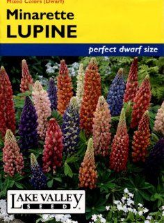 Lake Valley 450 Lupine Minarette Dwarf Mix Seed Packet  Flowering Plants  Patio, Lawn & Garden