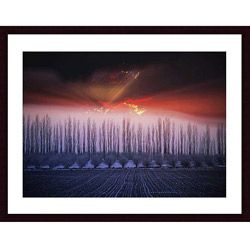 John K. Nakata 'Winter Sunset' Wood Framed Print Art Prints