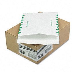 DuPont Tyvek Exp. Envelopes with Green Diamond Borders (Pack of 100) Quality Park Products Mailers