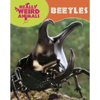 Beetles (Really Weird Animals) Clare Hibbert 9781848379572 Books