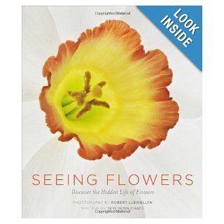 Seeing Flowers Discover the Hidden Life of Flowers Teri Dunn Chace, Robert Llewellyn 9781604694222 Books