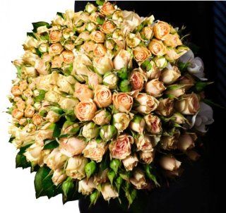 Flower Delivery   50 Giant, Long Stem Champagne Roses from Spring in the Air Luxury Roses  Fresh Cut Format Rose Flowers  Grocery & Gourmet Food