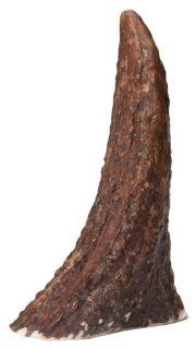 Chasing Our Tails Moose Rack Snack, 100 Percent Naturally Shed Moose Antler Chew, Medium, 5  7 Inch 