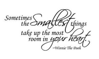 WallStickerUSA Medium "Sometimes smallest things take Up the most room in your heart." Winnie The Pooh Quote Saying Wall Sticker Decal Transfer Film 17x25  Nursery Wall Decor  Baby