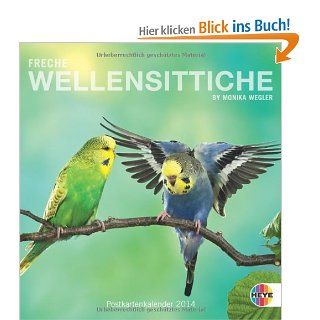 Freche Wellensittiche 2014. Postkartenkalender Heye, Monika Wegler Bücher