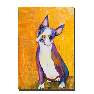 Pat Saunders White Cosmo Canvas Art   13684181   Shopping