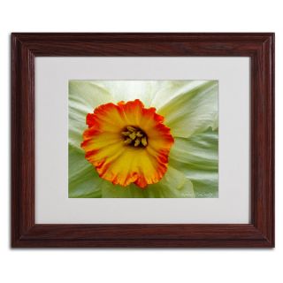 Kathie McCurdy Furnace Run Daffodil Large Framed Matted Wall Art
