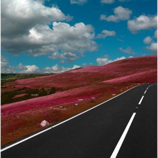 Landscape Road Less Traveled by Jordan Carlyle Graphic Art by Carlyle