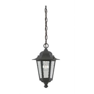 Westinghouse Lighting 1 Light Outdoor Hanging Lantern/Pendant