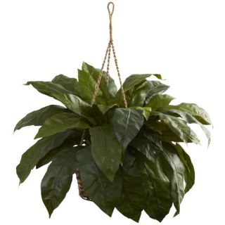 Nearly Natural Double Giant Birdsnest Hanging Plant in Basket