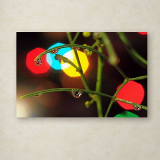 Drops of Christmas Past by Steve Wall Photographic Print Gallery