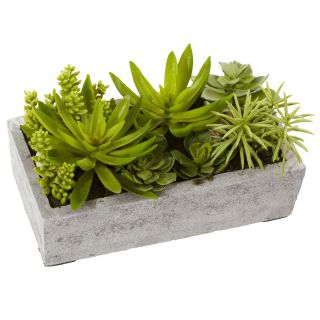 Nearly Natural Succulent Garden Plant with Concrete Planter