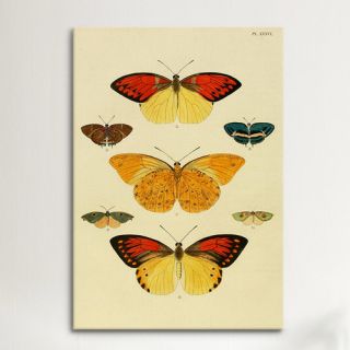 Plate 364 by Cramer and Stoll Graphic Art on Canvas by iCanvas