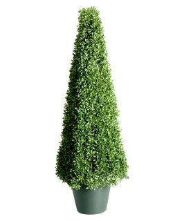 48 in. Mini Boxwood Square with Green Pot   Topiaries