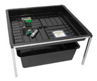 American Hydroponics 91003 One Tray Econo System with Reservoir