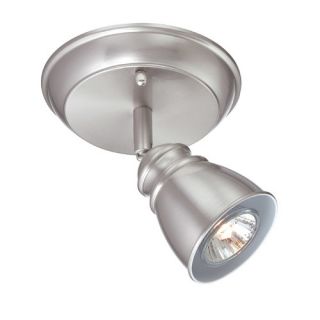 Immaculata One Light Wall/Ceiling Lamp in Polished Steel