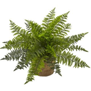 Ruffle Fern Bush Desk Top Plant in Planter by Nearly Natural