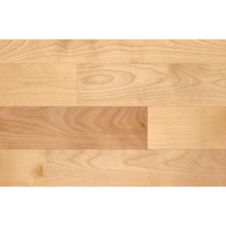 Forest Valley Flooring 2 1/4 Solid Birch Hardwood Flooring in S and B