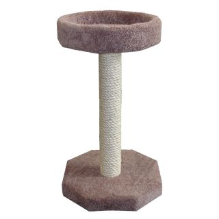 Molly and Friends Bed and Sisal Scratching Post   Cat Scratching Posts