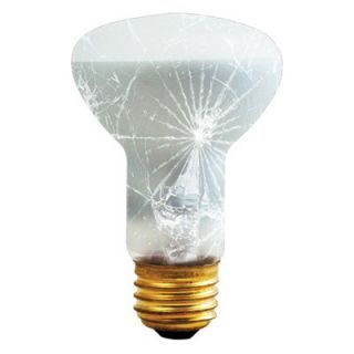 Bulbrite 50W Shatter Resistant Incandescent Reflector Light Bulb   6 pk.   Light Bulbs