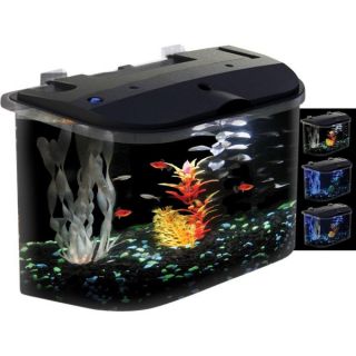 KollerCraft AquaView 15005 Rounded 5 Gallon Aquarium Kit  