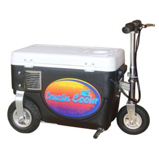 30 Qt. 300W Scooter Electric Cooler