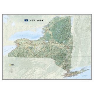 New York State Wall Map