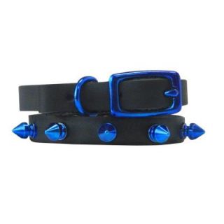 Platinum Pets 10 in. Black Genuine Leather Cat/Puppy Collar in Blue Spikes LC10INBLUSPK