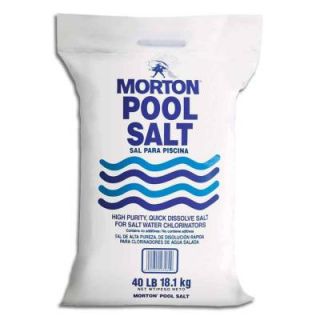 Morton Salt 40 lb. Pool Salt 3460