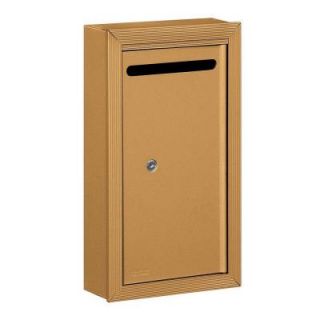 Salsbury Industries 2260 Series Brass Slim Surface Mounted Private Letter Box with Commercial Lock 2260BP