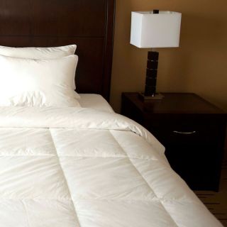 Dorm Ready Twin XL White Goose Down Comforter/ Insert   15504218