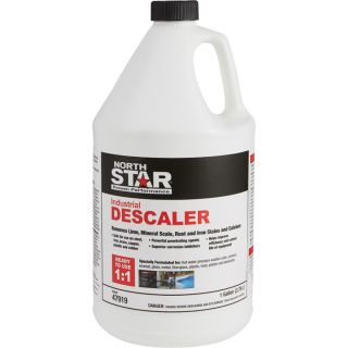 NorthStar Pressure Washer Descaler Chemical — 1-Gallon, Model# NSD1  Pressure Washer Chemical Cleaners