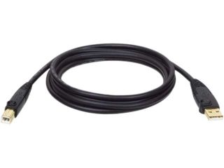 Tripp Lite U022 010 R 10 ft. Black USB2.0 A/B Gold Device Cable